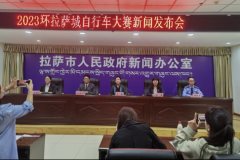 交叉韧带专题报告分析2025年中超积分榜最新排名中国女排